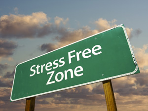 Image of a highway sign that reads "Stress Free Zone."